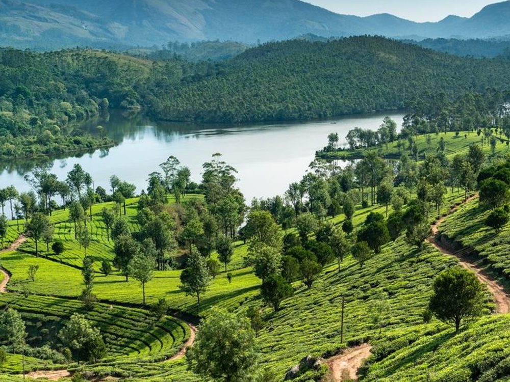 Hatton, Sri Lanka — Gateway to tea estates and mountain reservoirs. Private driver and tours.