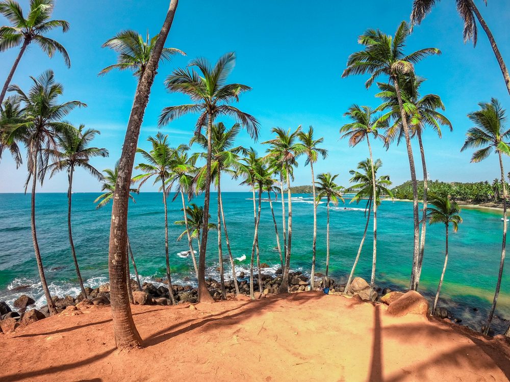 Mirissa, Sri Lanka — Whale-watching capital with a lively beach strip.