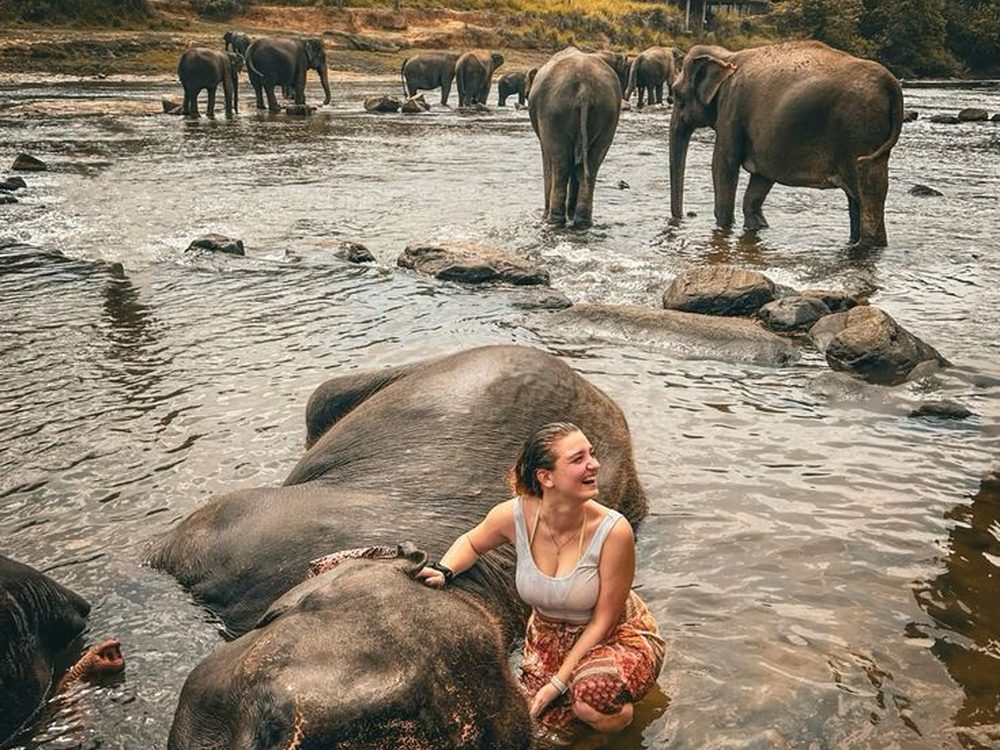 Pinnawala, Sri Lanka — The well-known elephant orphanage and river bath. Private driver and tours.