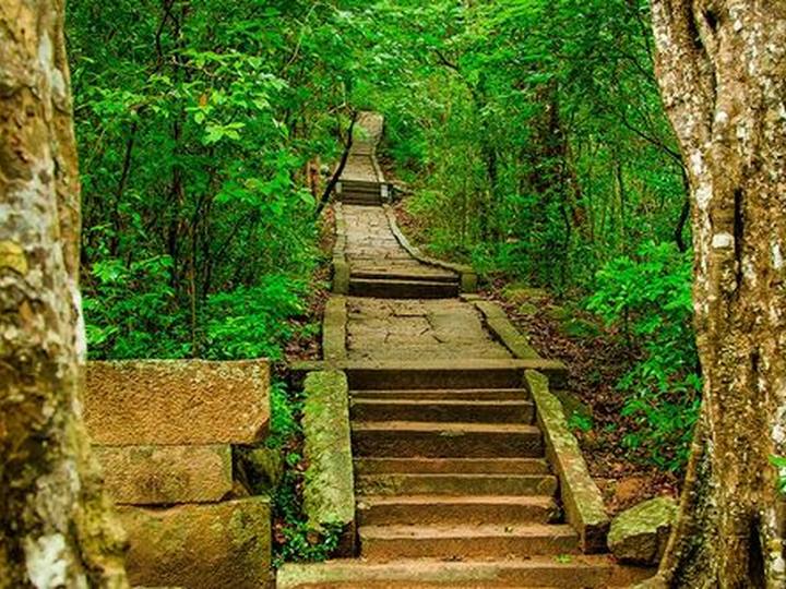 Ritigala, Sri Lanka — Mysterious forest monastery ruins on a jungle mountain. Private driver and tours.